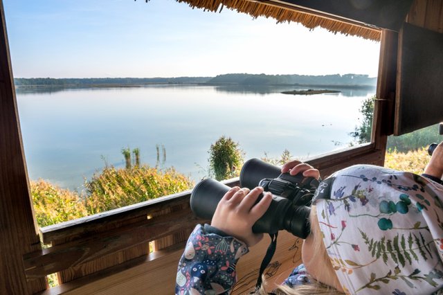 Festival ptactva u bohdanečských rybníků