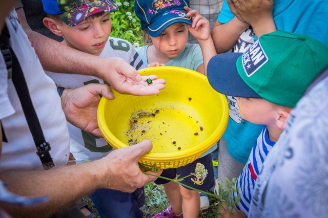 entomologická vycházka